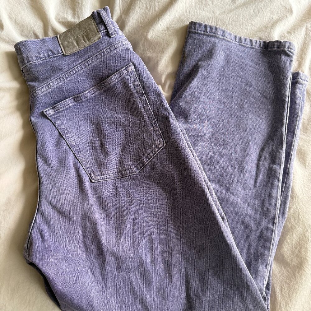 Purple Everlane Jeans